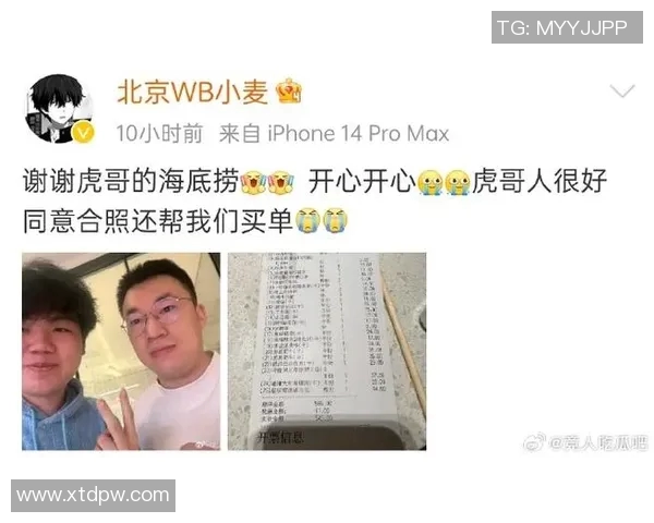 探索WB小虎的成长之路与未来发展潜力的深度分析