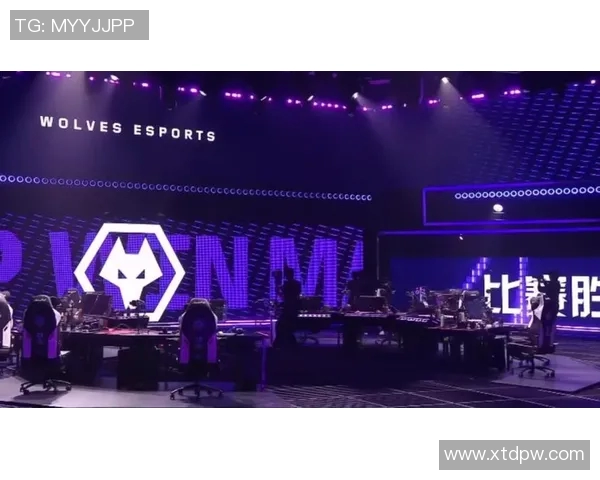 VCT启点赛首发阵容揭晓smoggy领衔战队冲击新高峰